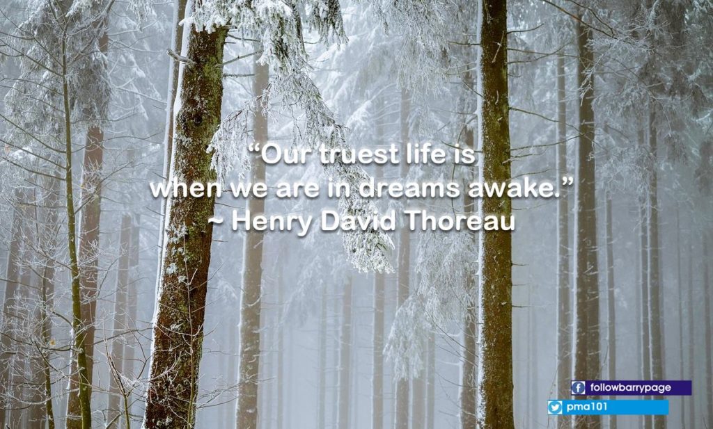 “Our truest life is when we are in dreams awake.” 
~Henry David Thoreau