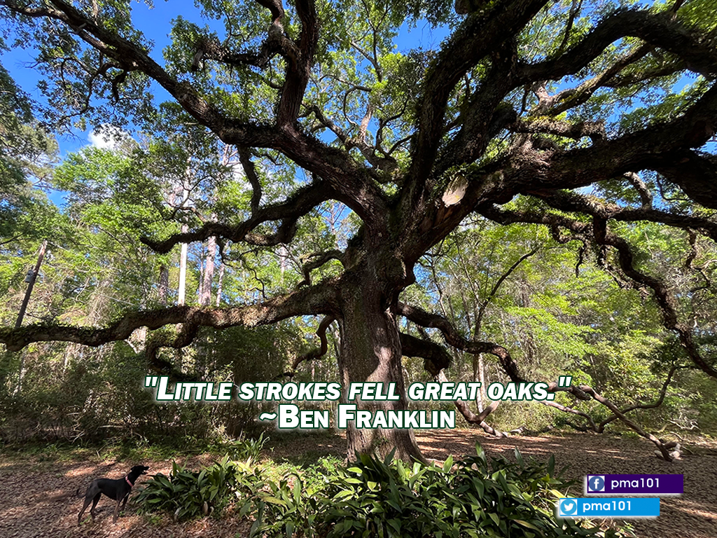 "Little strokes fell great oaks." -Ben Franklin (Wisdom)